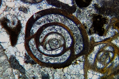 Le calcaire - Les indices géologiques du calcaire